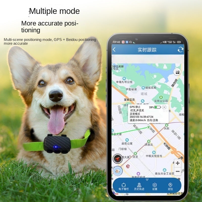 Military-Grade Cat GPS Tracking Guardian