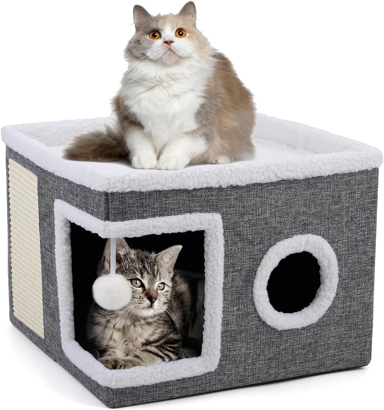 Hide-and-Scratch Cat Activity Cube