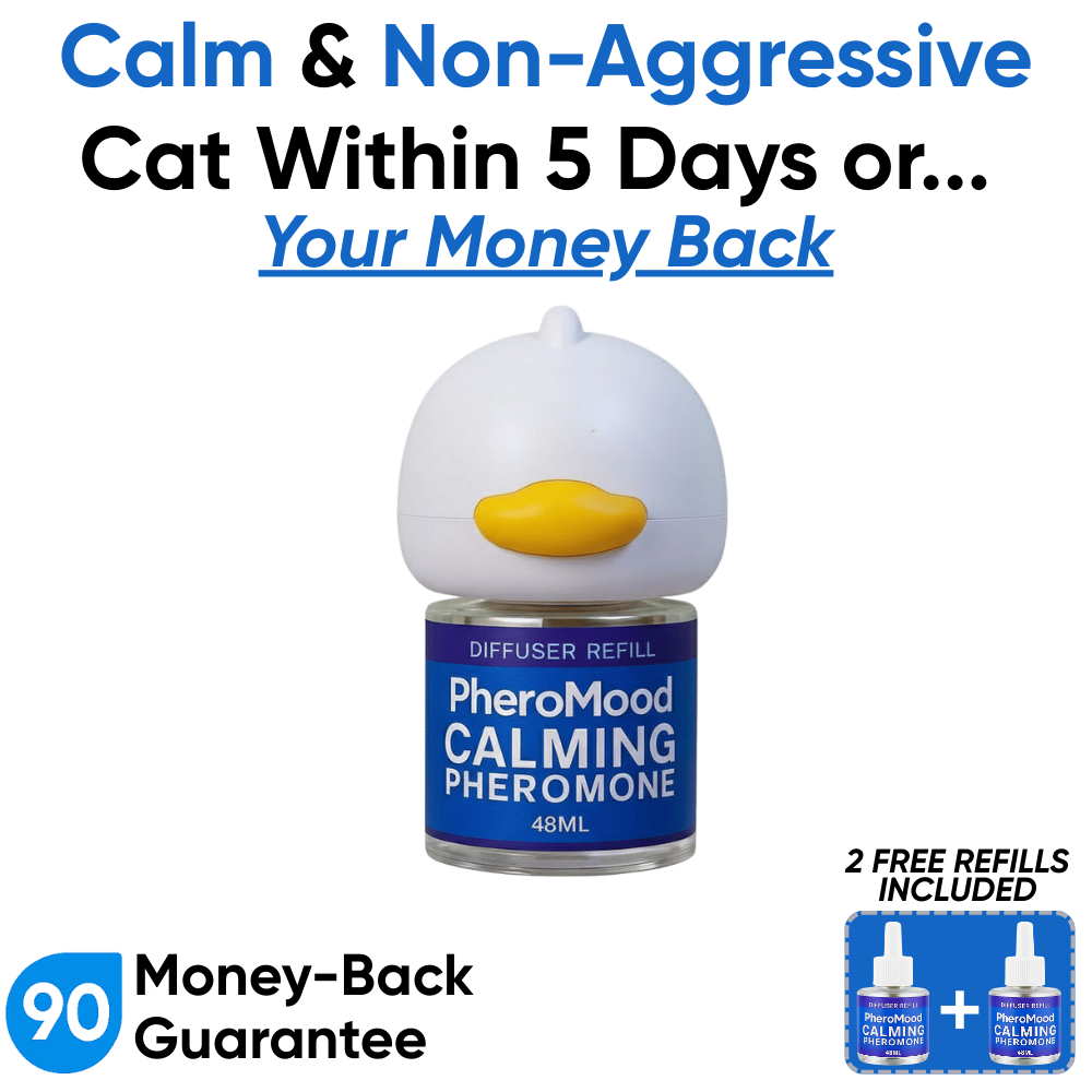 Cat Calm Diffuser