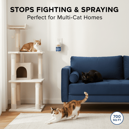 Cat Calm Diffuser